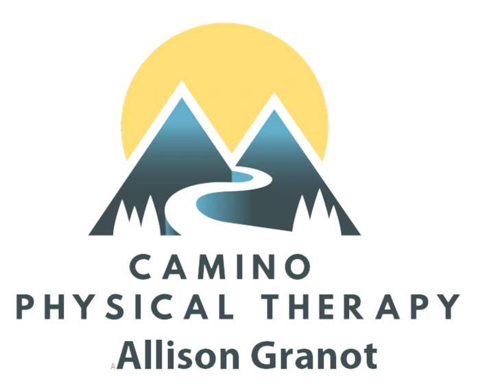 A logo of a physical therapist with mountains in the background.