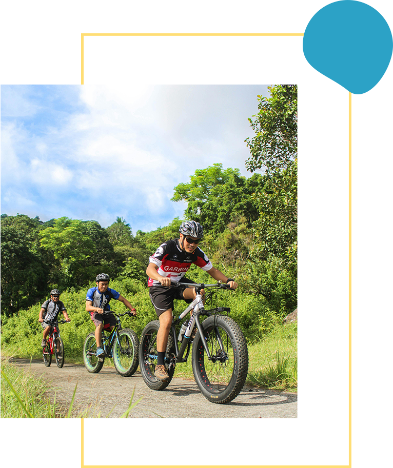 Three people riding bikes on a trail in the woods.